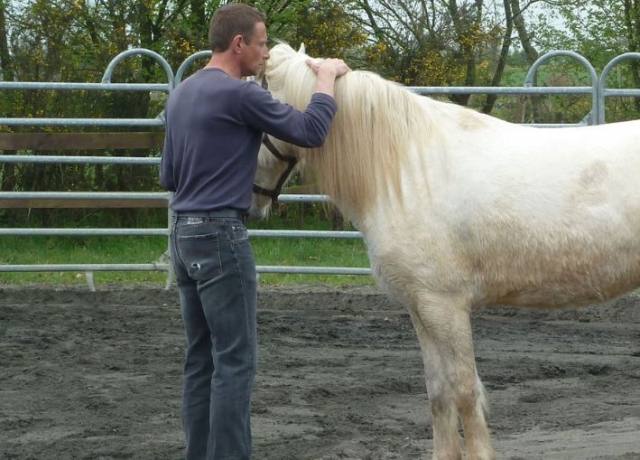Equitation Baulon dans le 35